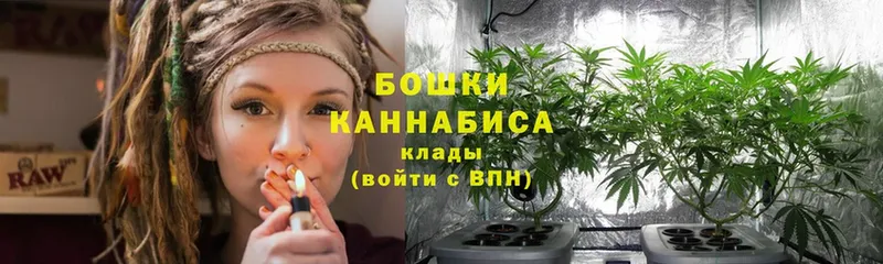 Конопля план  Палласовка 